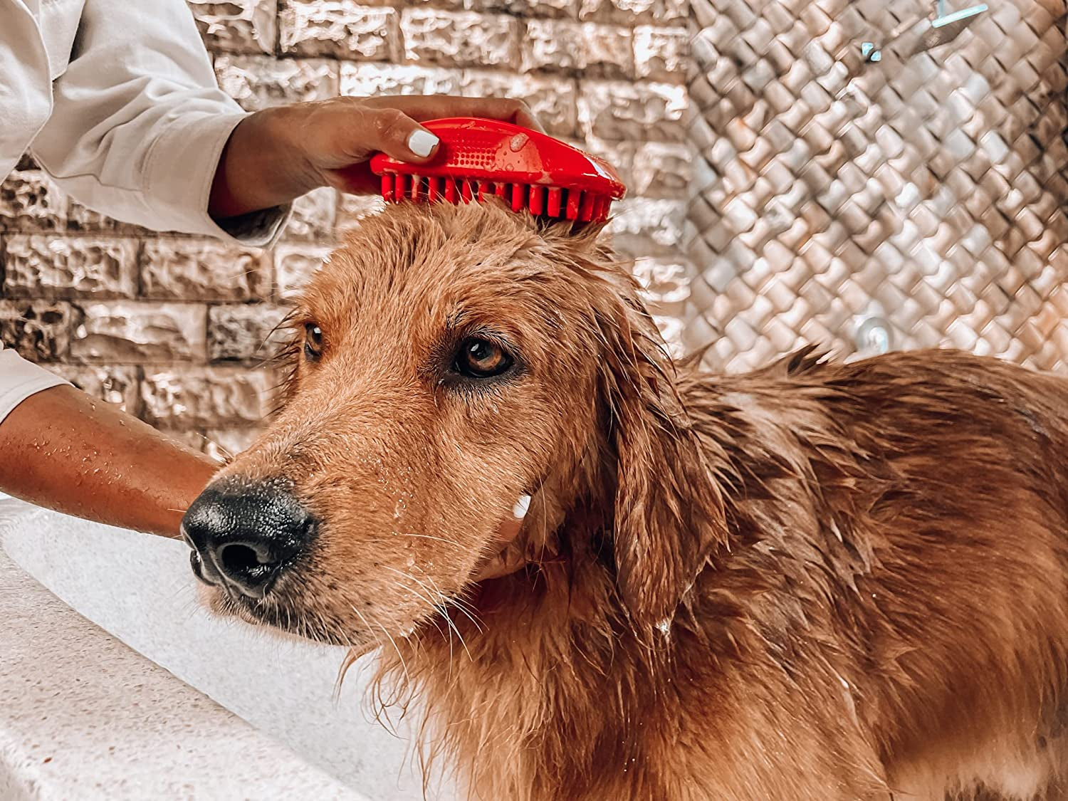 Soft Rubber Silicone Dog Bath Brush: Gently Removes Loose Fur, Ideal for Shampooing & Massaging Dogs