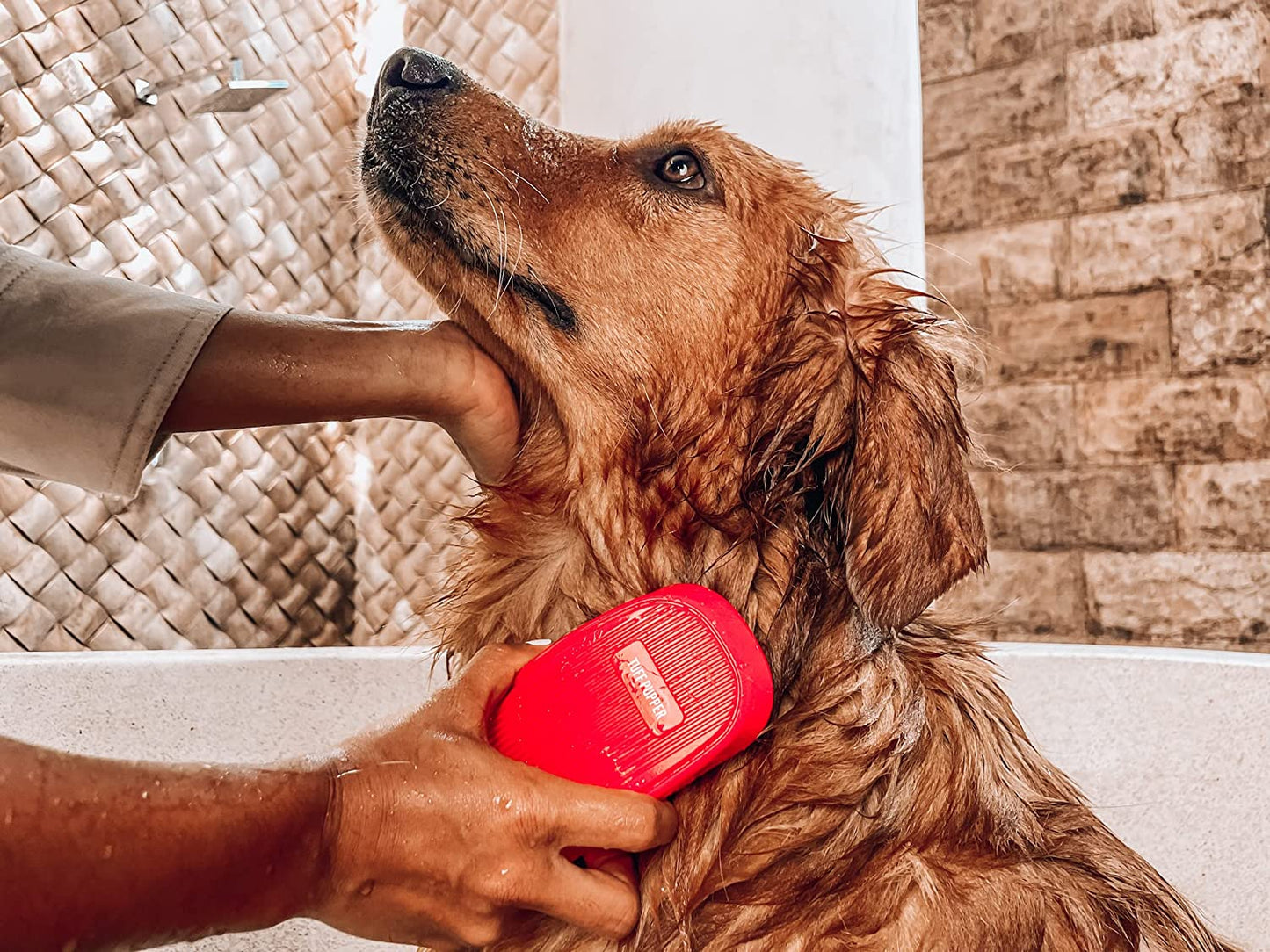 Soft Rubber Silicone Dog Bath Brush: Gently Removes Loose Fur, Ideal for Shampooing & Massaging Dogs