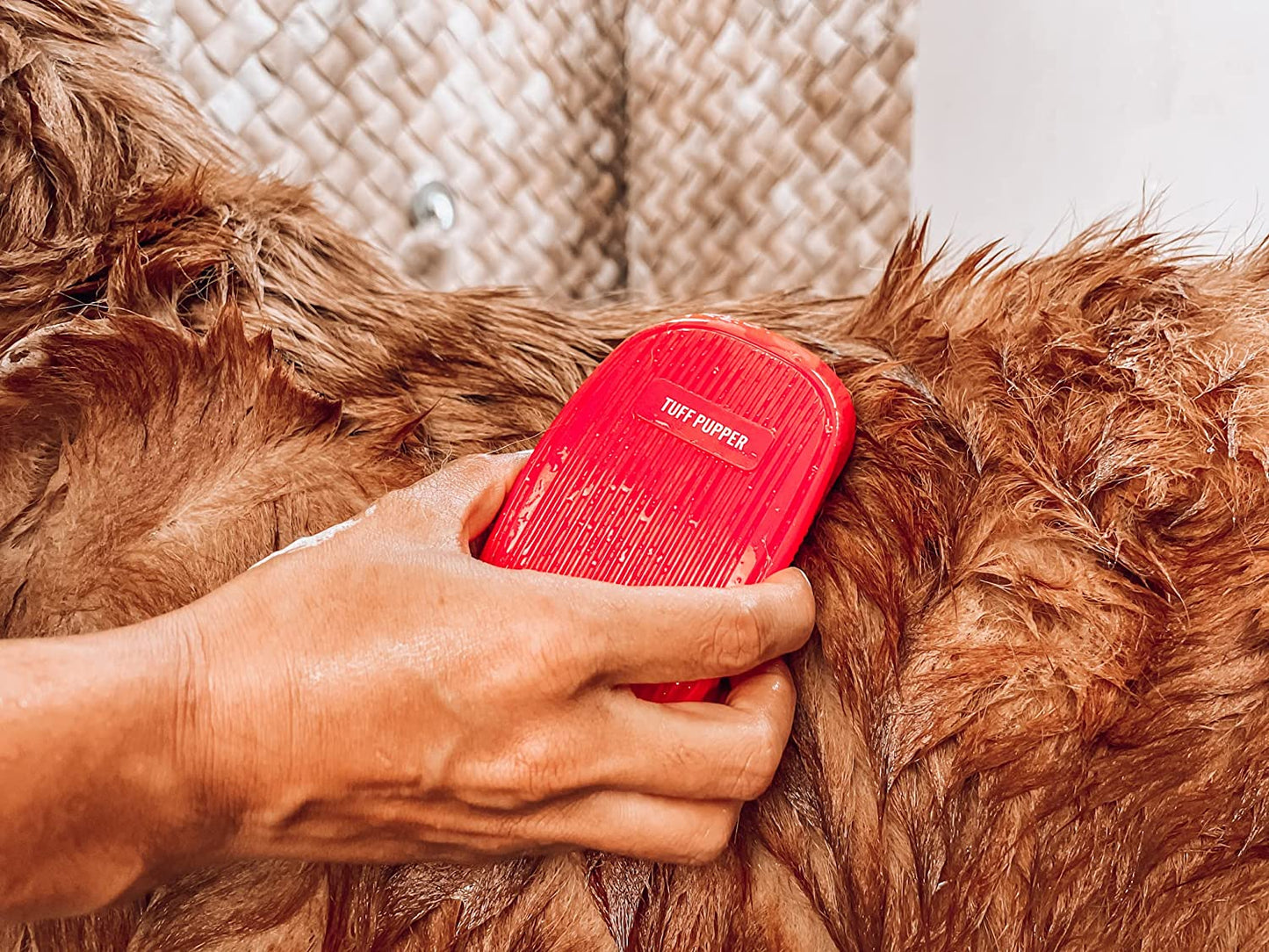 Soft Rubber Silicone Dog Bath Brush: Gently Removes Loose Fur, Ideal for Shampooing & Massaging Dogs