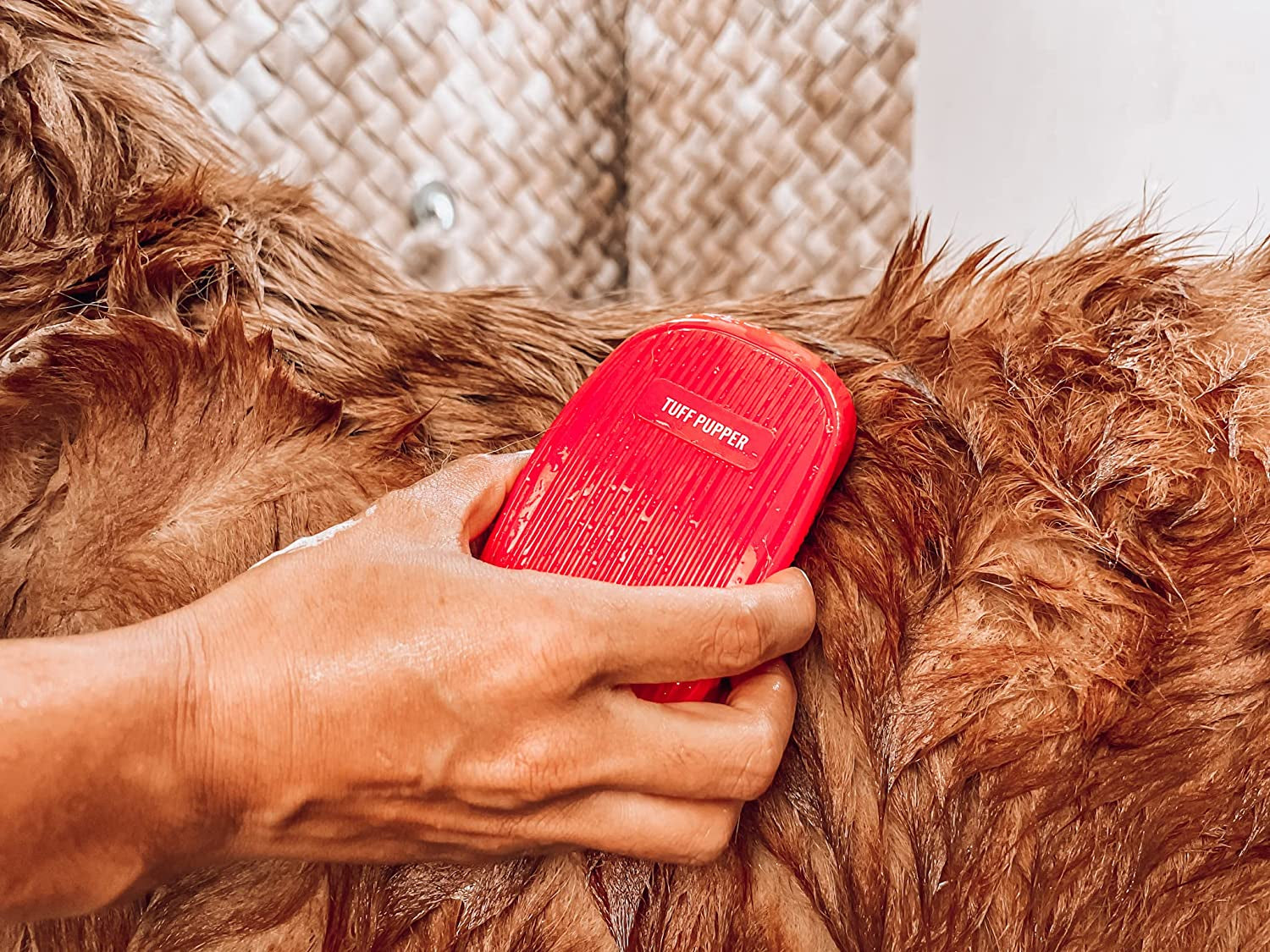 Soft Rubber Silicone Dog Bath Brush: Gently Removes Loose Fur, Ideal for Shampooing & Massaging Dogs