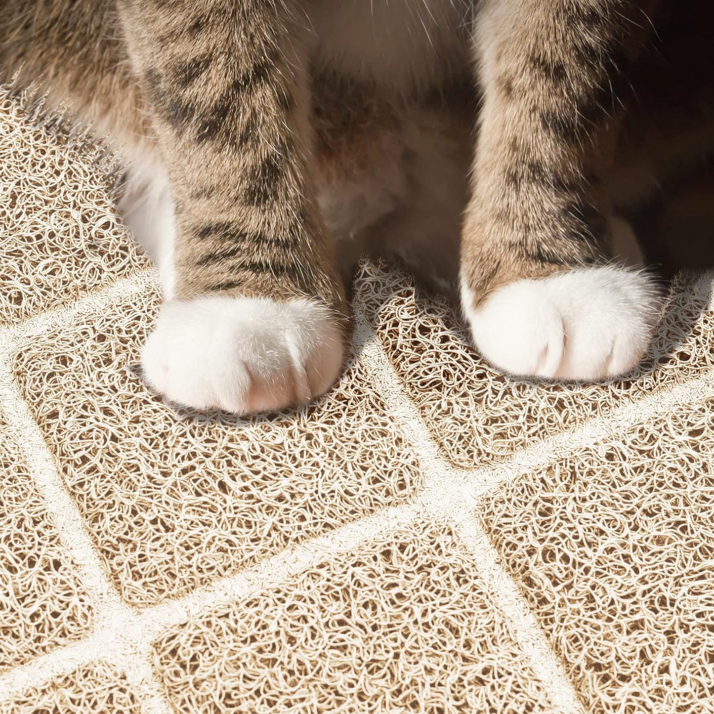 Top-Quality Cat Litter Mat: Non-Slip, Waterproof, Soft on Paws, Easy to Clean - Traps Litter