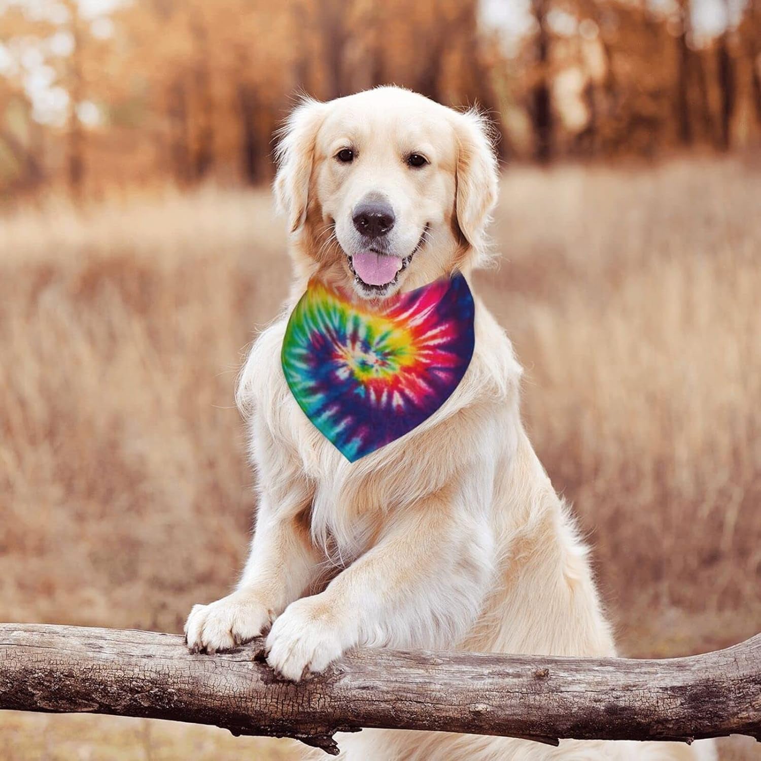 Colorful Tie Dye Dog Bandana: Stylish Pet Accessory