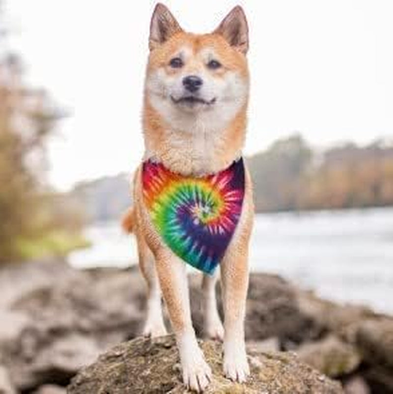 Colorful Tie Dye Dog Bandana: Stylish Pet Accessory