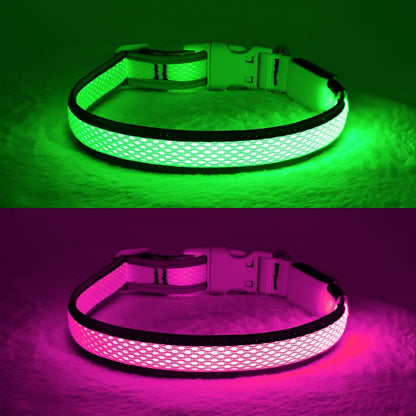 Light up Dog Collar, Rechargeable LED Dog Collar, Waterproof Dog Collar Light, Adjustable Reflective Flashing Dog Collar Glowing at Night (Pink, Medium)