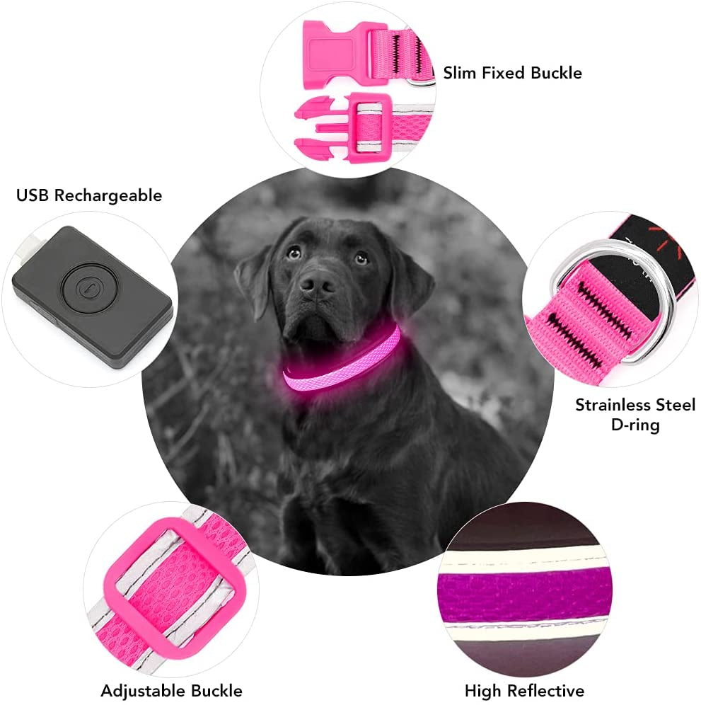 Light up Dog Collar, Rechargeable LED Dog Collar, Waterproof Dog Collar Light, Adjustable Reflective Flashing Dog Collar Glowing at Night (Pink, Medium)