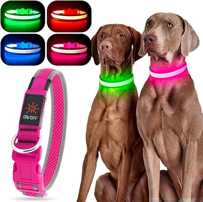 Light up Dog Collar, Rechargeable LED Dog Collar, Waterproof Dog Collar Light, Adjustable Reflective Flashing Dog Collar Glowing at Night (Pink, Medium)