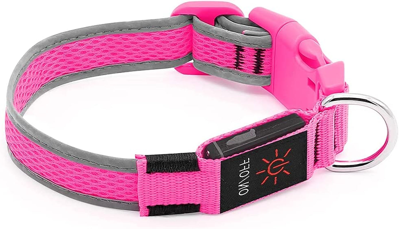 Light up Dog Collar, Rechargeable LED Dog Collar, Waterproof Dog Collar Light, Adjustable Reflective Flashing Dog Collar Glowing at Night (Pink, Medium)