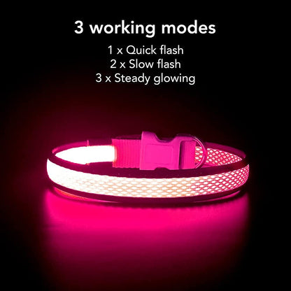 Light up Dog Collar, Rechargeable LED Dog Collar, Waterproof Dog Collar Light, Adjustable Reflective Flashing Dog Collar Glowing at Night (Pink, Medium)